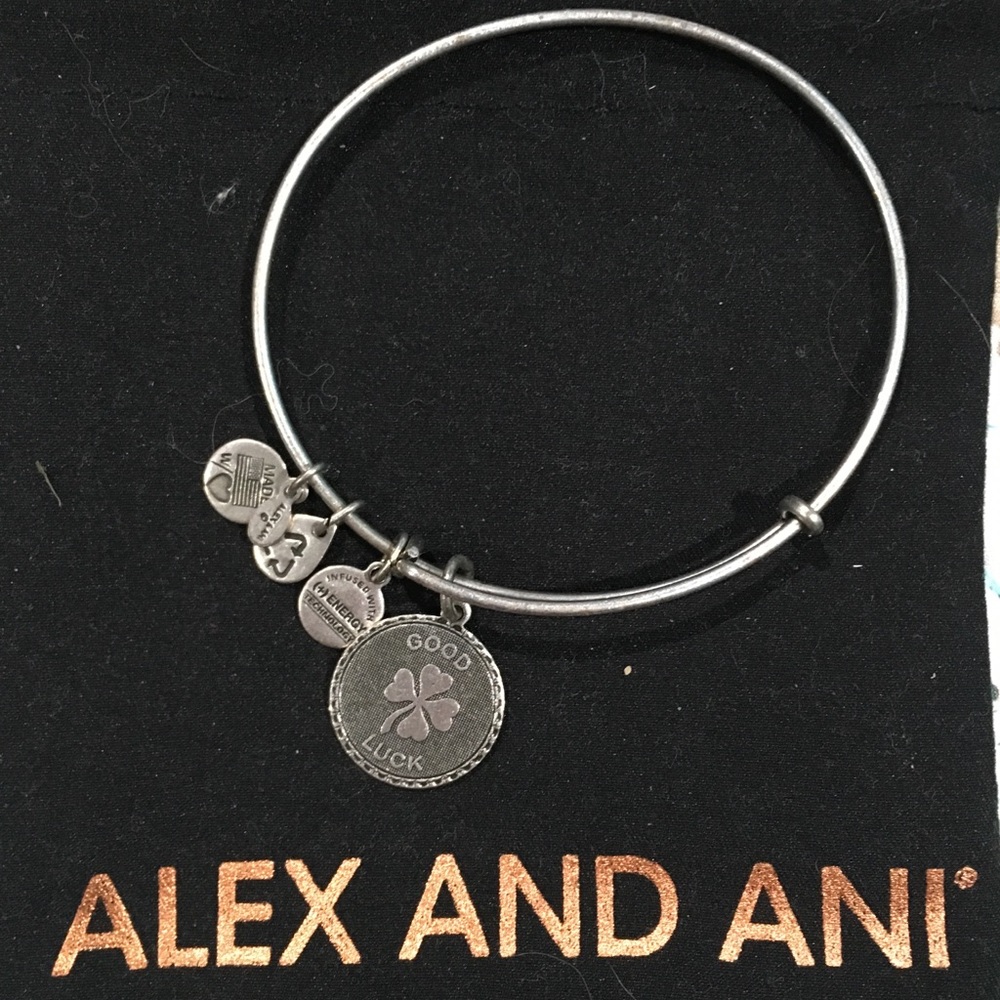 Alex and Ani Goodluck charm bracelet